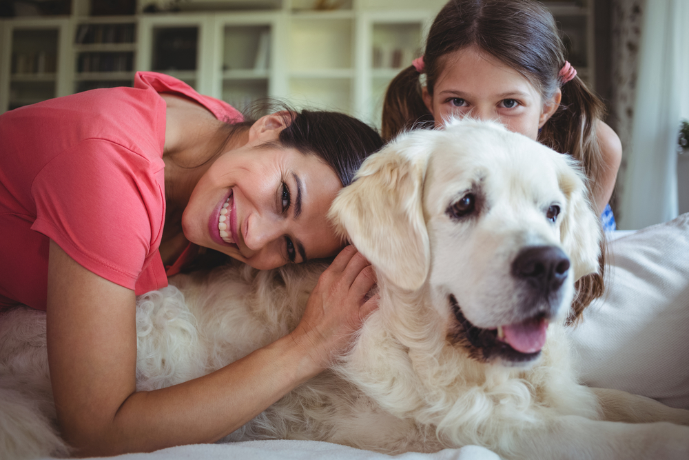 Pet Screening: What Is It, and Why Does Your Property Need It?