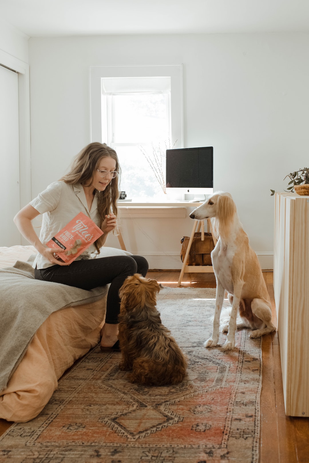 Rental Policy: Should You Allow Pets in a Rental Property